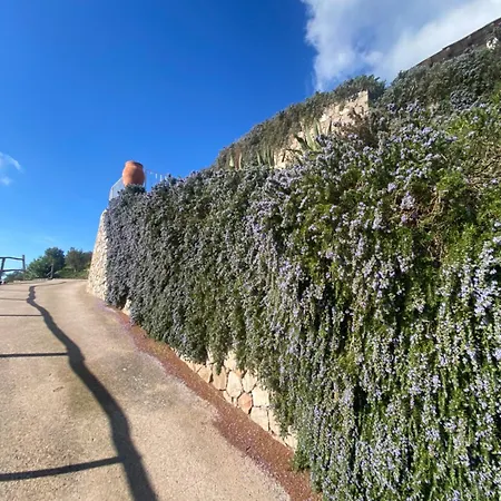 شقة Centro Storico 5 Mins From Port Casa Celeste